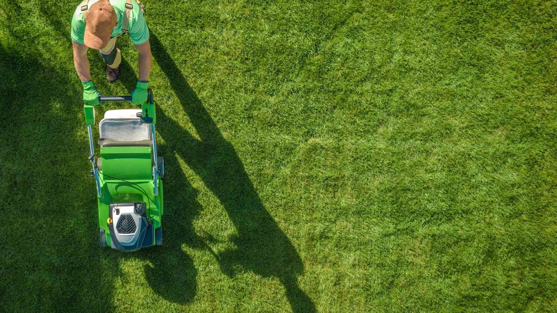 Lawn Care And Maintenance 