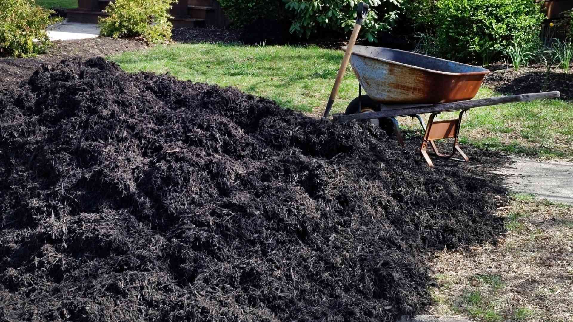 Mulching And Bed Maintenance 