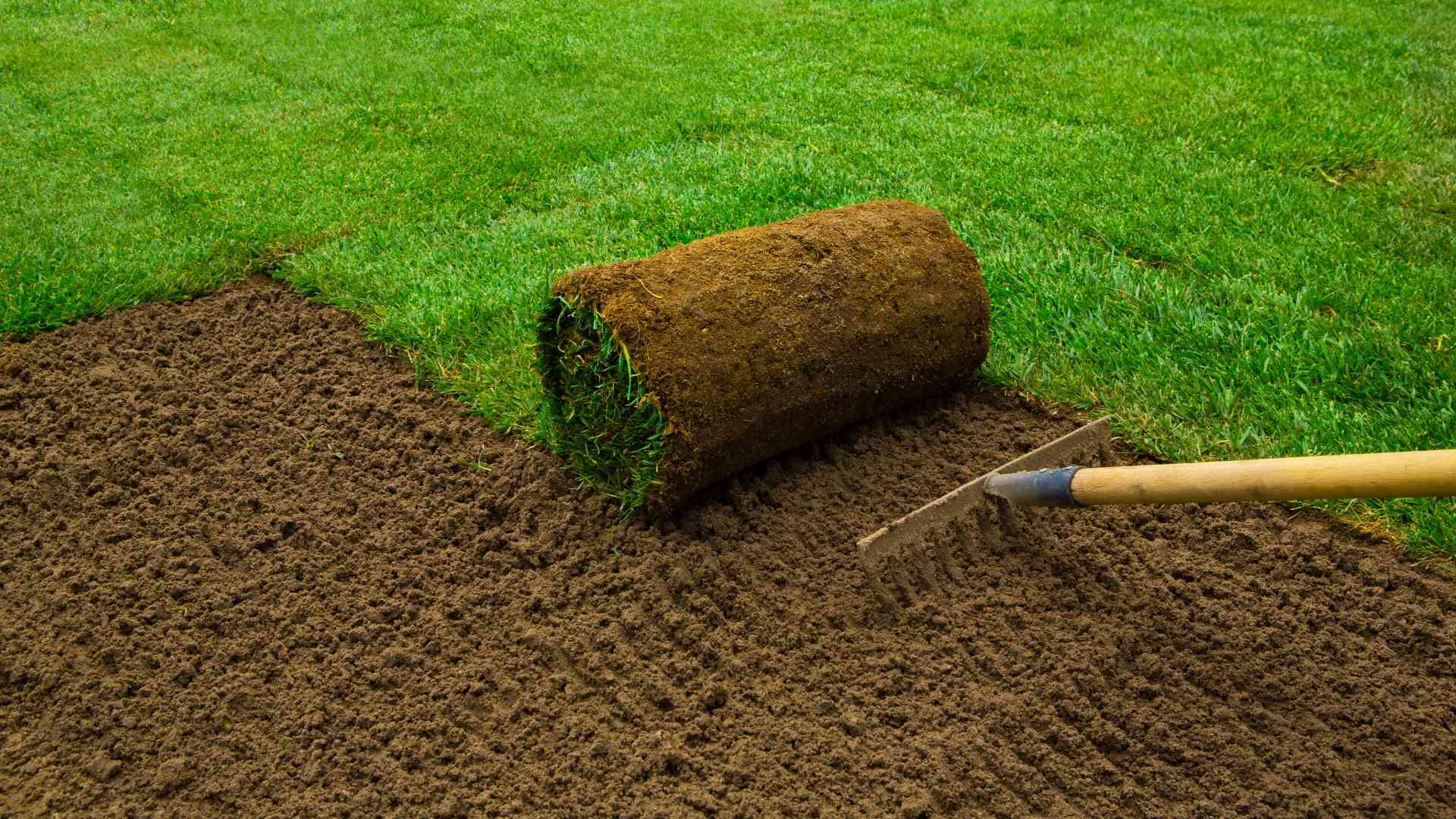 Sod And Turf Installation 
